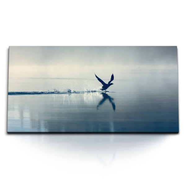 Paul Sinus Art Kunstdruck Bilder 120x60cm Ente im Anflug See Nebel Morgentau Natur