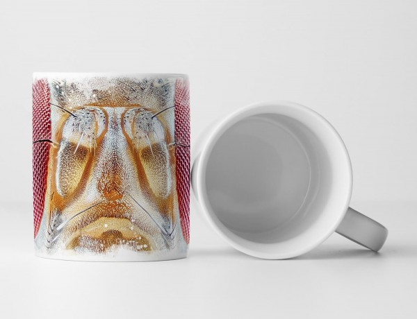 Paul Sinus Art Tasse Geschenk Tierfotografie – Fliegenkopf in Makroaufnahme