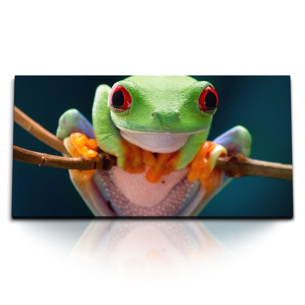 Paul Sinus Art Kunstdruck Bilder 120x60cm Exotischer Frosch Regenwald Tierfotografie Natur