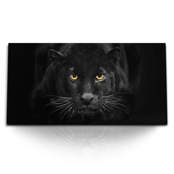 Paul Sinus Art Kunstdruck Bilder 120x60cm Schwarzer Panther Jaguar Raubkatze Tierfotografie