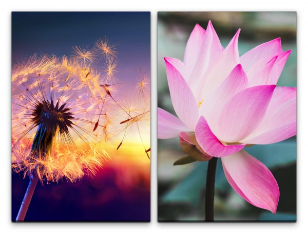 Paul Sinus Art 2 Bilder je 60x90cm Pusteblume Lotus Blüte Sommer Warm Sonnenuntergang positive Energie