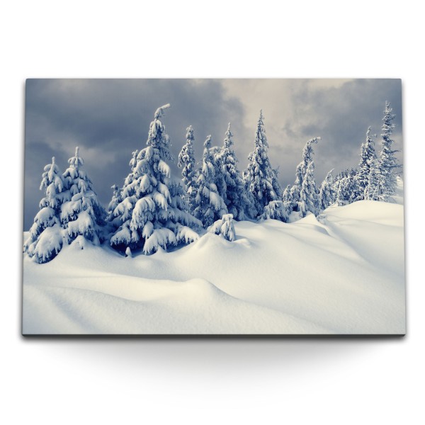 Paul Sinus Art 120x80cm Wandbild auf Leinwand Winterlandschaft Schnee Winter Weiß Tannenbäume