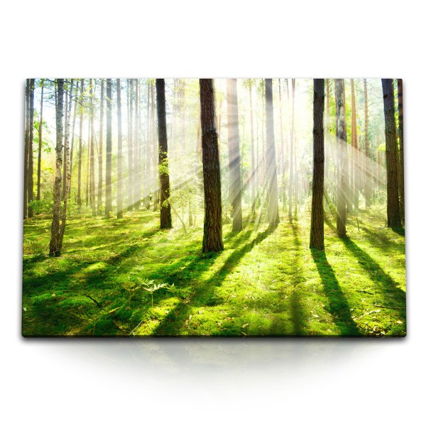 Paul Sinus Art 120x80cm Wandbild auf Leinwand Wald Bäume Natur Grün Sonnenschein strahlen