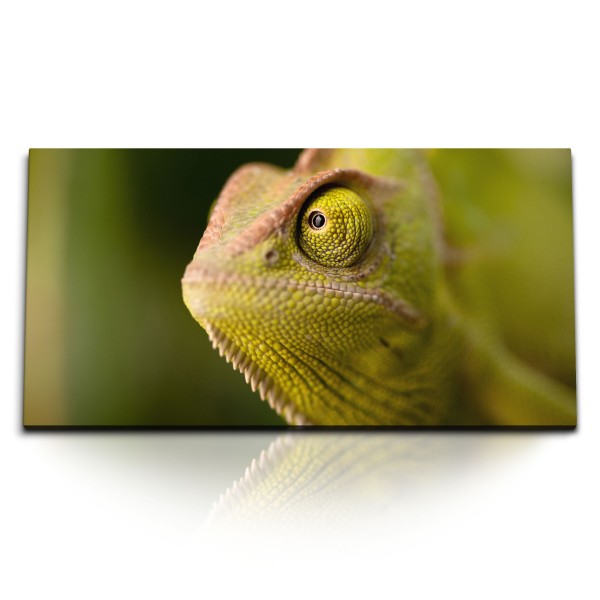 Paul Sinus Art Kunstdruck Bilder 120x60cm Chamäleon Grün Tierfotografie Reptil Tropisch