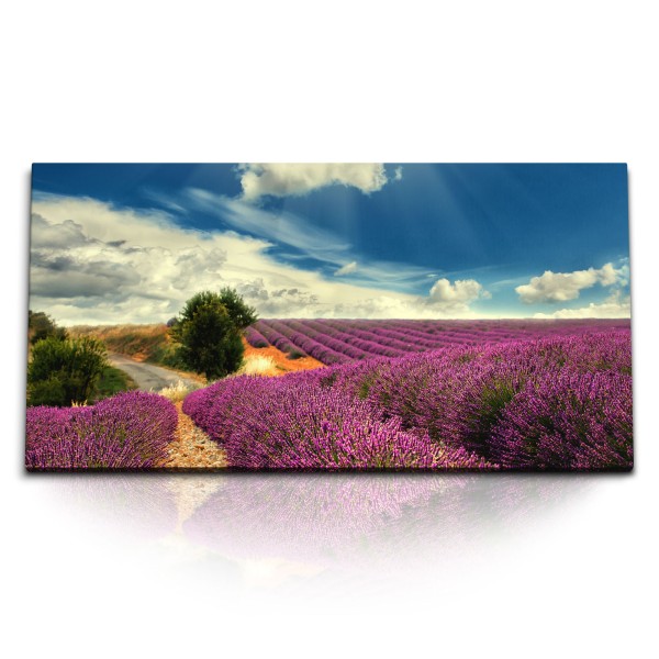 Paul Sinus Art Kunstdruck Bilder 120x60cm Lavendel Lavendelfeld blauer Himmel Natur Landschaft