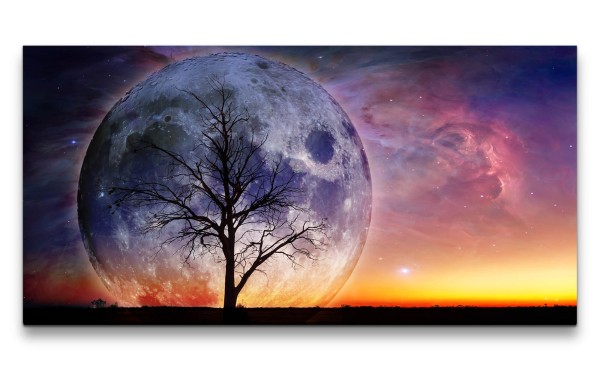 Paul Sinus Art Leinwandbild 120x60cm Vollmond Baum Fantasievoll Märchenhalt Zauberhaft