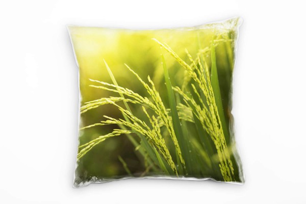 Paul Sinus Art Natur, Reisfeld, Sonnenschein, gelb, grün Deko Kissen 40x40cm für Couch Sofa Lounge Zierkissen