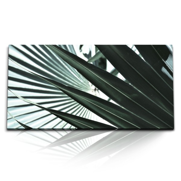 Paul Sinus Art Kunstdruck Bilder 120x60cm Palmblätter Palme Pflanze Grün Fotokunst