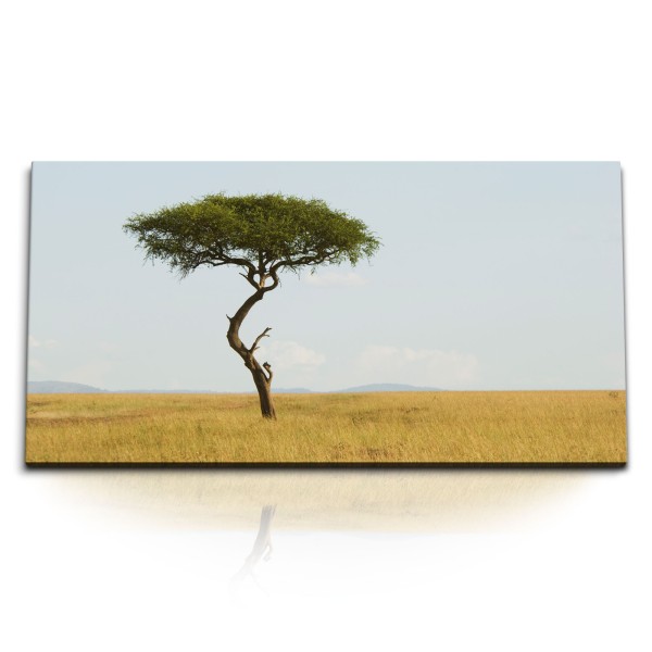 Paul Sinus Art Kunstdruck Bilder 120x60cm Baum Steppe Graslandschaft Natur Horizont