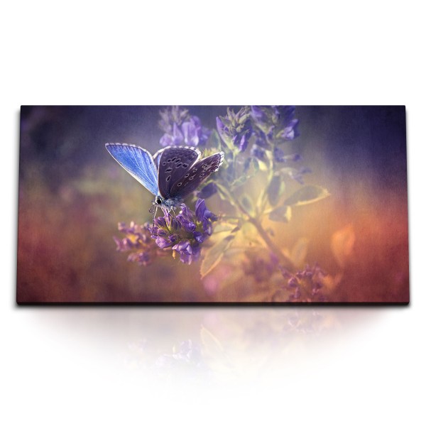 Paul Sinus Art Kunstdruck Bilder 120x60cm Schmetterling Lavendel Fotokunst Natur Kunstvoll