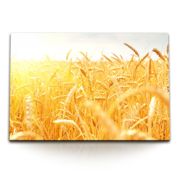 Paul Sinus Art 120x80cm Wandbild auf Leinwand Weizenfeld Feld Sommer Sonnenschein Weizen