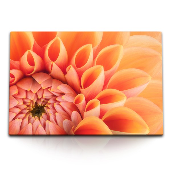 Paul Sinus Art 120x80cm Wandbild auf Leinwand Dahlie Blume Blüte Orange Nahaufnahme Kunstvoll