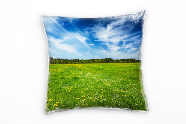 Paul Sinus Art Natur, grün, blau, Wiese, Schleierwolken, Wald Deko Kissen 40x40cm für Couch Sofa Lounge Zierkissen