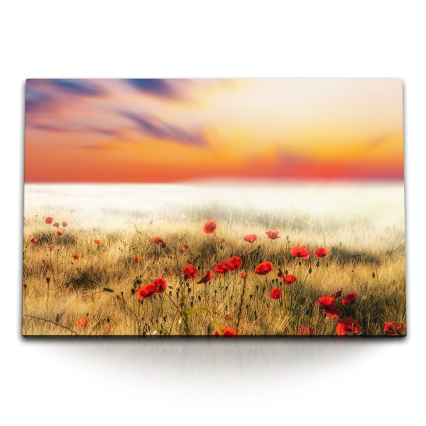 Paul Sinus Art 120x80cm Wandbild auf Leinwand Roter Himmel Blumen Mohnblumen Wildblumen Natur