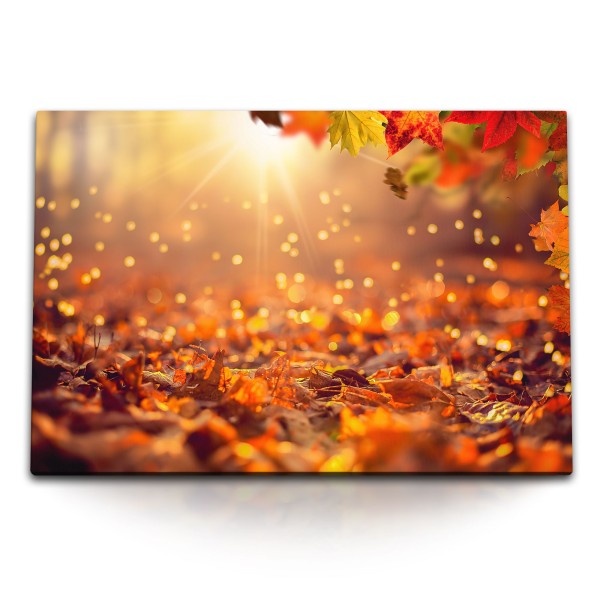 Paul Sinus Art 120x80cm Wandbild auf Leinwand Herbst Sonnenschein Herbstblätter Rot Waldboden