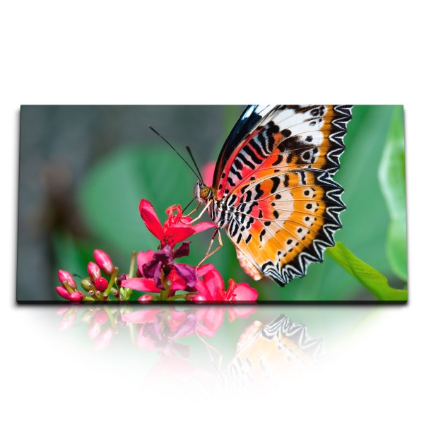 Paul Sinus Art Kunstdruck Bilder 120x60cm Schmetterling rote Blumen Frühling Fotokunst