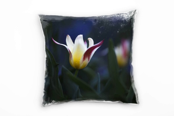 Paul Sinus Art Blumen, Tulpen, Nacht, grün, gelb, blau Deko Kissen 40x40cm für Couch Sofa Lounge Zierkissen