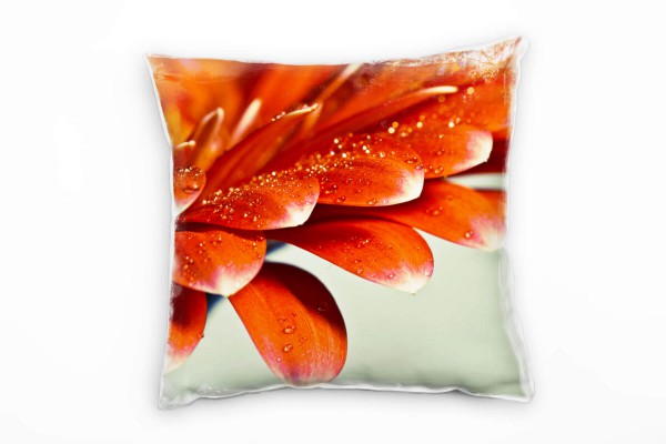 Paul Sinus Art Macro, Blumen, Blütenblätter, Wassertropfen, rot Deko Kissen 40x40cm für Couch Sofa Lounge Zierkisse