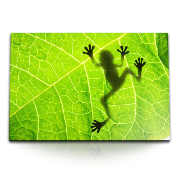 Paul Sinus Art 120x80cm Wandbild auf Leinwand Grünes Blatt Frosch Natur Fotokunst