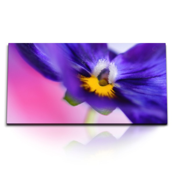 Paul Sinus Art Kunstdruck Bilder 120x60cm Blume Blüte Violett Makroaufnahme Fotokunst