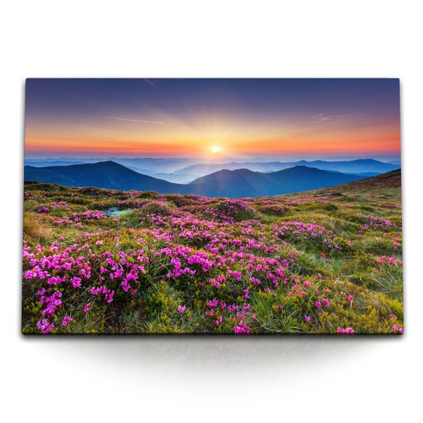 Paul Sinus Art 120x80cm Wandbild auf Leinwand Berglandschaft Berge Sonnenuntergang Abendrot Bergblumen