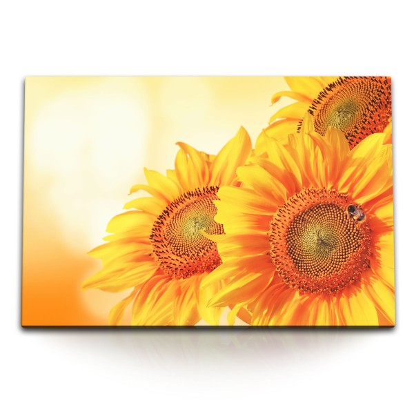 Paul Sinus Art 120x80cm Wandbild auf Leinwand Sonnenblumen Sonnenschein Gelb Blumen Biene