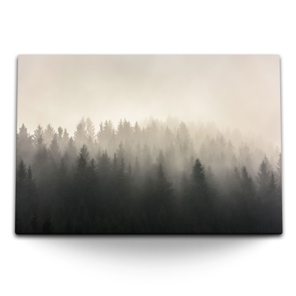 120x80cm Wandbild auf Leinwand Tannenwald Tannen Nebel Wald Natur Bäume