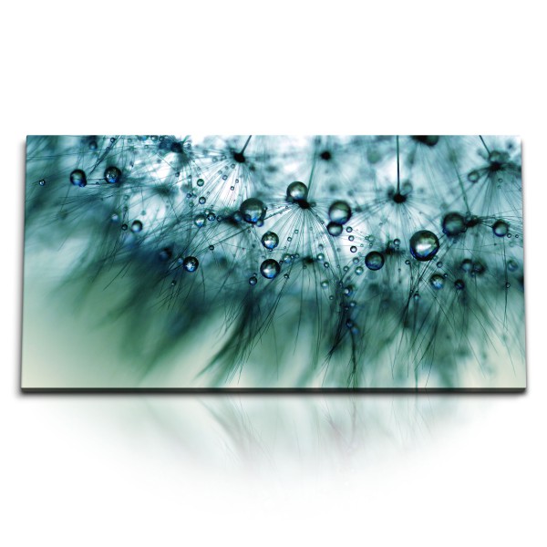 Paul Sinus Art Kunstdruck Bilder 120x60cm Pusteblume Makrofotografie Fotokunst Wassertropfen