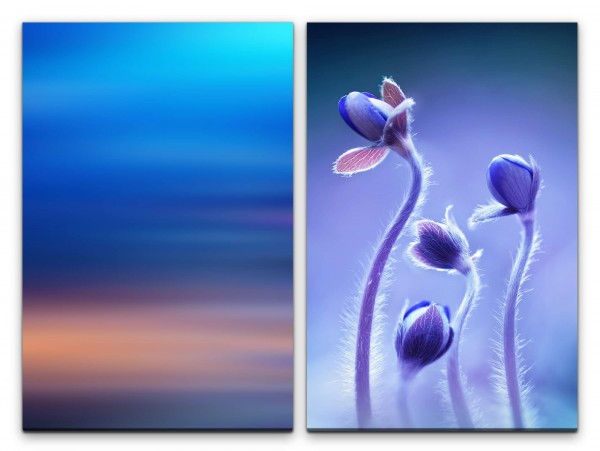 Paul Sinus Art 2 Bilder je 60x90cm Blumen Blau Knospen Blüten Zart Sanft Dekorativ