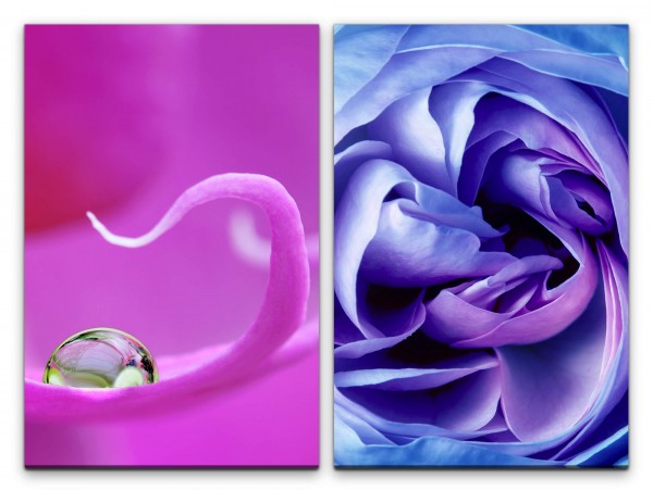 Paul Sinus Art 2 Bilder je 60x90cm Orchidee Perle Rose Blau Sinnlich Zart Feminin