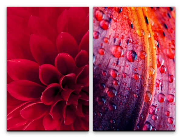 Paul Sinus Art 2 Bilder je 60x90cm Dahlie rote Blüte Regentropfen Blumen Sommer Frisch Harmonisch