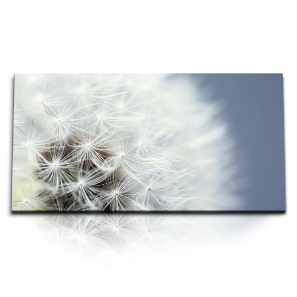 Paul Sinus Art Kunstdruck Bilder 120x60cm Pusteblume Makrofotografie Weiß Blume Nahaufnahme