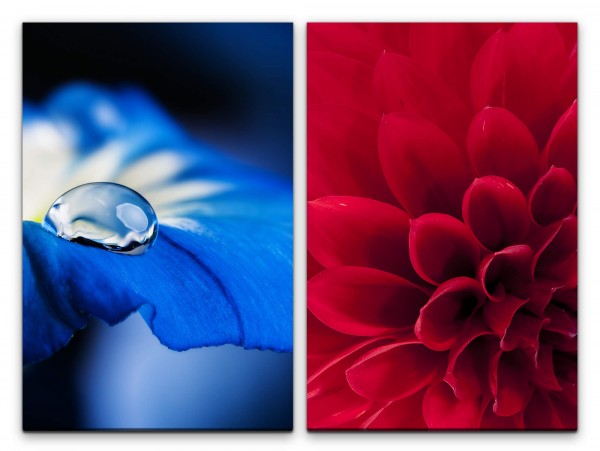 Paul Sinus Art 2 Bilder je 60x90cm Dahlie Wassertropfen Rote Blüte Blaue Blume Wasserperle Sommer Nahaufnahme