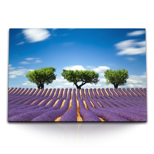 Paul Sinus Art 120x80cm Wandbild auf Leinwand Lavendelfeld Lavendel Bäume Landschaft blauer Himmel