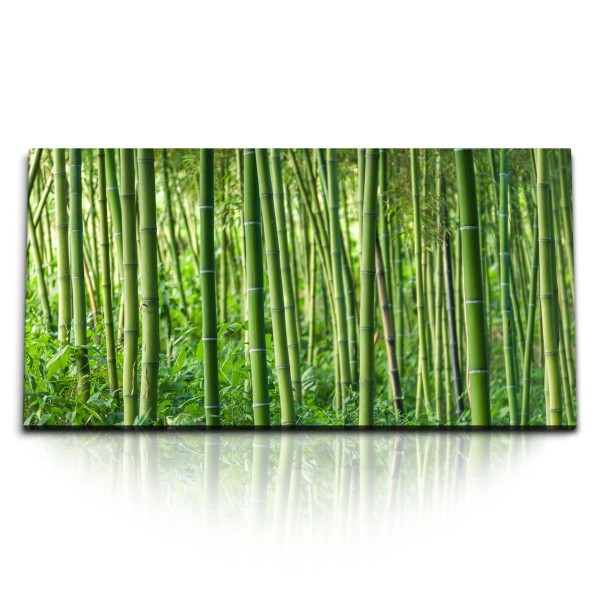 Paul Sinus Art Kunstdruck Bilder 120x60cm Bambus Bambuswald Asien China Grün Natur