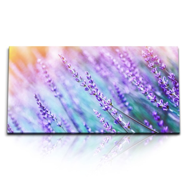 Paul Sinus Art Kunstdruck Bilder 120x60cm Lavendel Lavendelfeld Blau Natur Blumen