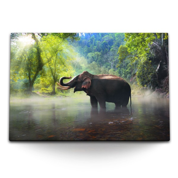 Paul Sinus Art 120x80cm Wandbild auf Leinwand Thailand Elefant Asien Natur Dschungel Tropisch