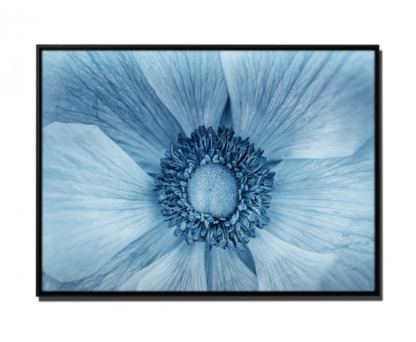 Paul Sinus Art 105x75cm Leinwandbild Petrol Innere Blume Lila Makro-Bild