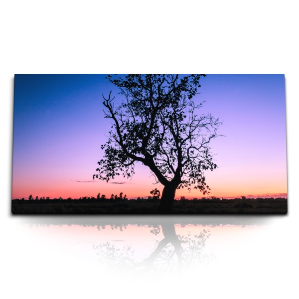 Paul Sinus Art Kunstdruck Bilder 120x60cm Abenddämmerung Baum Landschaft roter Horizont