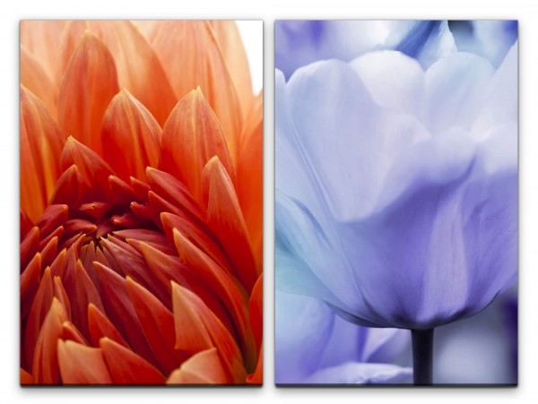 Paul Sinus Art 2 Bilder je 60x90cm Blumen Blüten Tulpe Sommer Kunstvoll Rot Makrofotografie