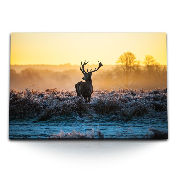 120x80cm Wandbild auf Leinwand Natur Hirsch Hirschgeweih Abendrot Sonnenuntergang