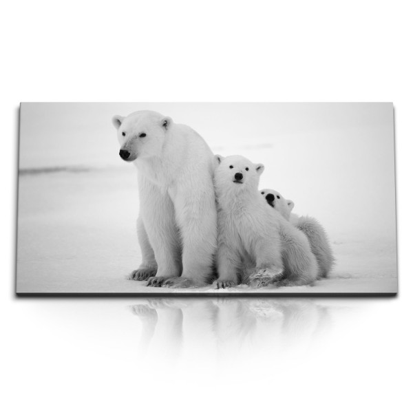 Paul Sinus Art Kunstdruck Bilder 120x60cm Eisbären Eisbärenfamilie Nordpol Tierfotografie Schwarz Weiß