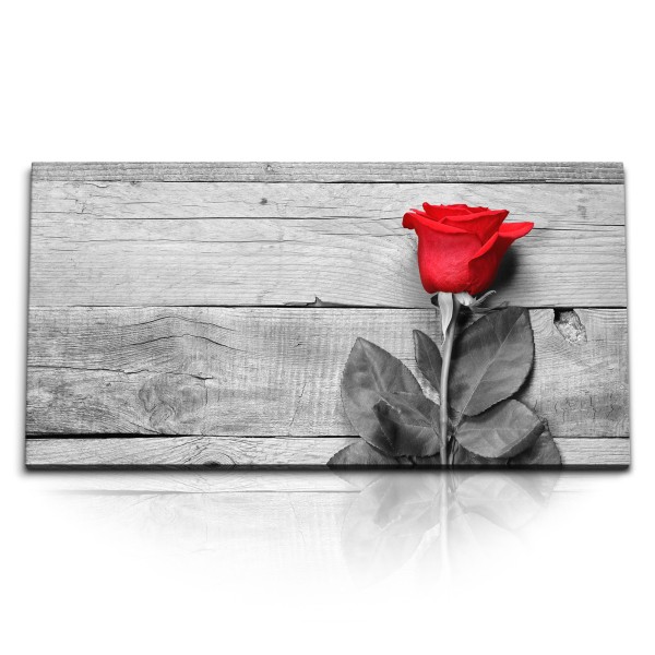 Paul Sinus Art Kunstdruck Bilder 120x60cm Fotokunst Rose rote Blume Schwarz Weiß Holz