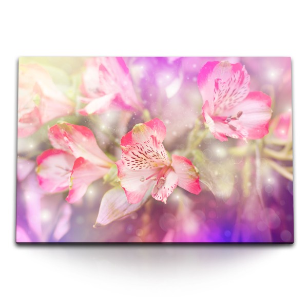 Paul Sinus Art 120x80cm Wandbild auf Leinwand Rosa Blumen Blüten Fotokunst Dekorativ Sommer