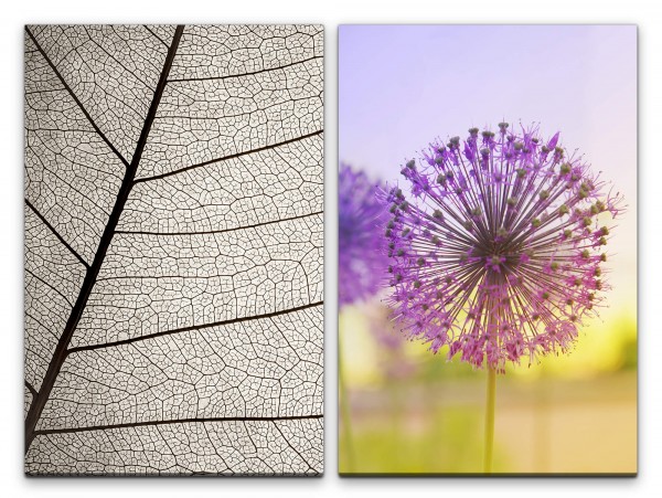 Paul Sinus Art 2 Bilder je 60x90cm Blatt Blattstruktur Blattadern Pusteblume Sommer Sonne Makrofotografie