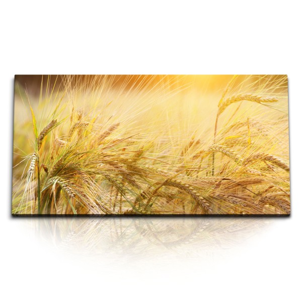 Paul Sinus Art Kunstdruck Bilder 120x60cm Weizenfeld Weizen Sommer Natur Sonnenschein