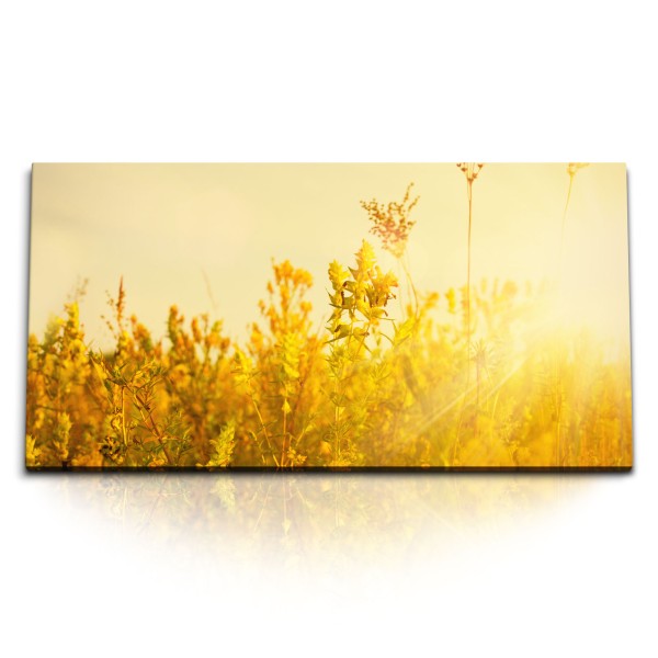 Paul Sinus Art Kunstdruck Bilder 120x60cm Sonnenschein Landschaft Gewächs Blumen Sommer