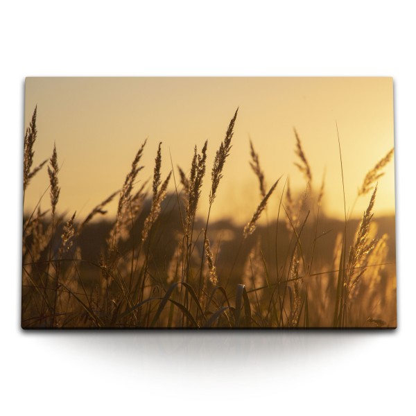 Paul Sinus Art 120x80cm Wandbild auf Leinwand Sonnenuntergang Weizen Weizenfeld Natur Abenddämmerung