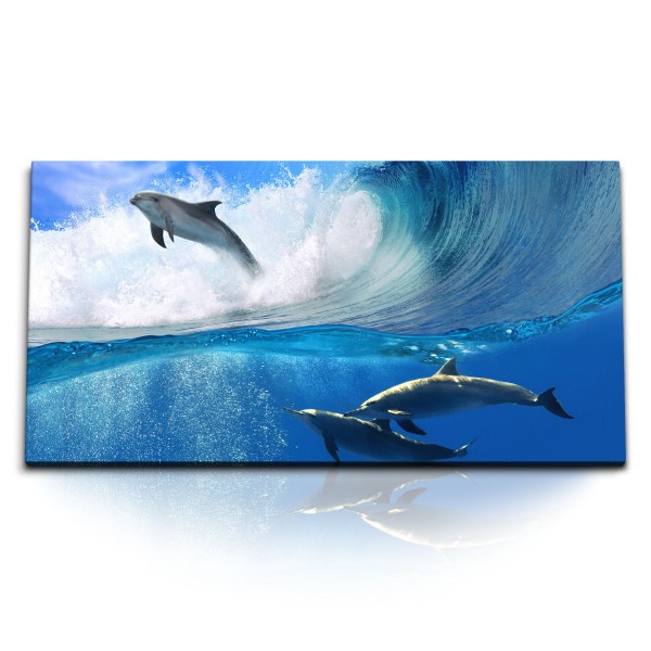 Paul Sinus Art Kunstdruck Bilder 120x60cm Delphine Surfen Wellen Blau Meer unter Wasser