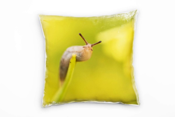 Paul Sinus Art Tiere, Nacktschnecke, braun, grün Deko Kissen 40x40cm für Couch Sofa Lounge Zierkissen